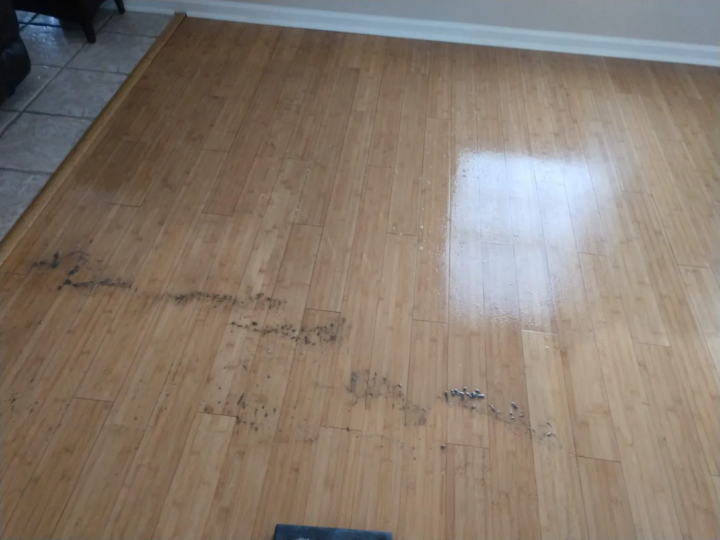 Before: a bamboo floor with dark scuffs and marks across the middle of the room.
