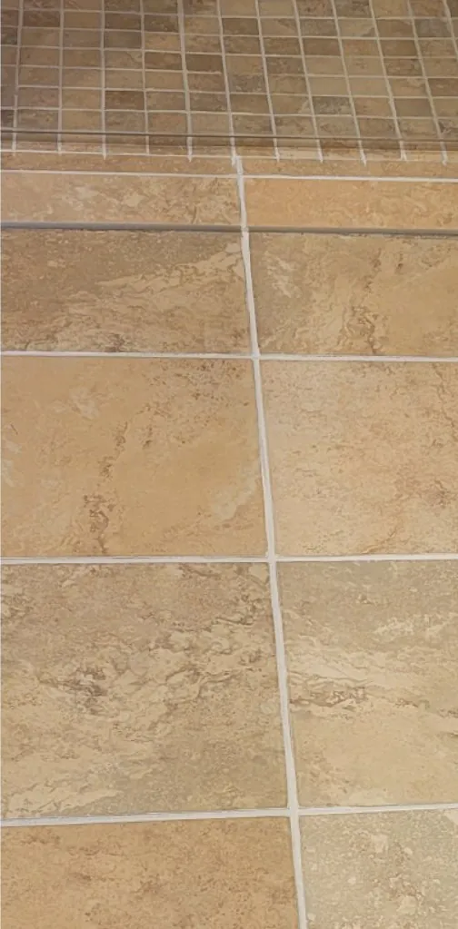 After: the same floor with clean, light grout lines.