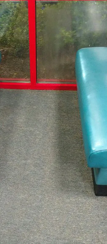 After: the same carpet cleaned.