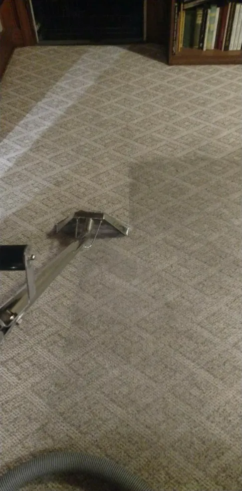 After: the same carpet with a clean pass from the wand.