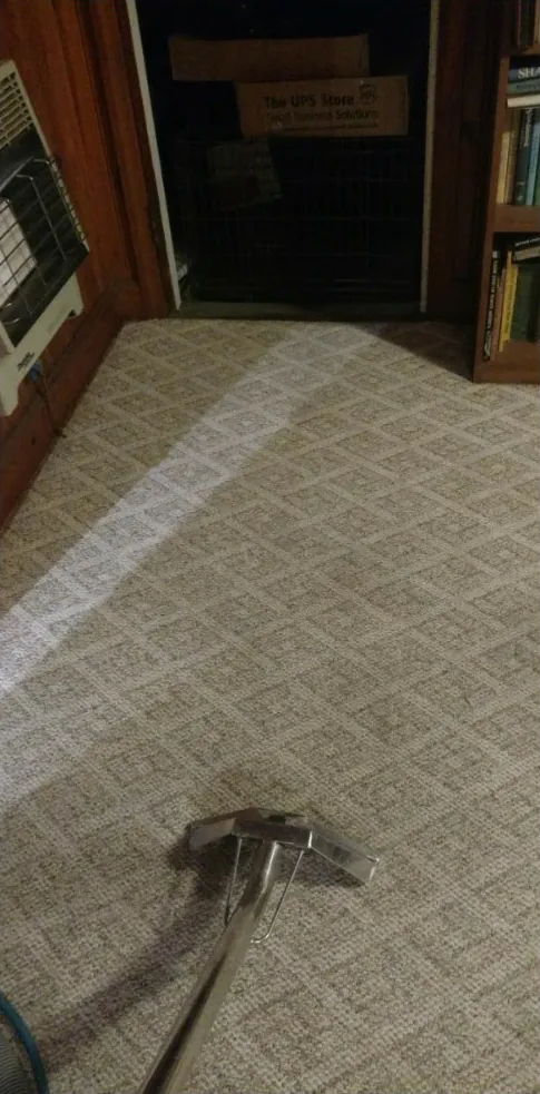 Before: a patterned carpet by a bookshelf, dull and flat.