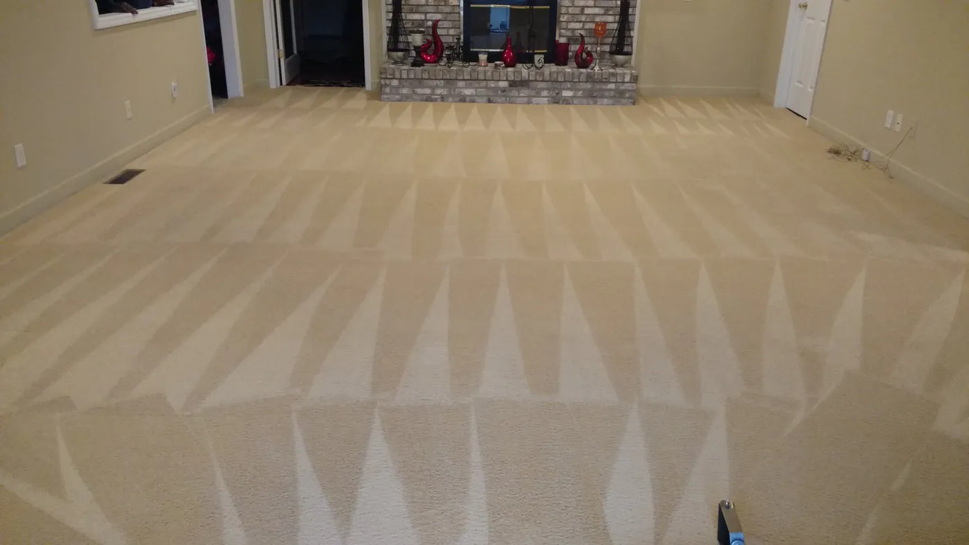 A living room carpet after cleaning, with even grooming lines across it.