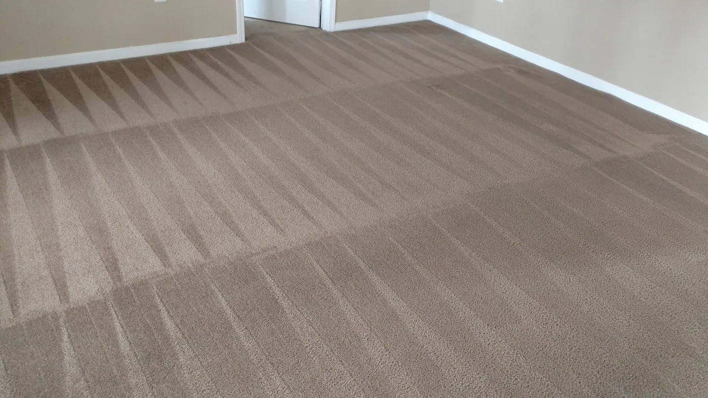 A bright bedroom carpet after cleaning, with even lines across it.