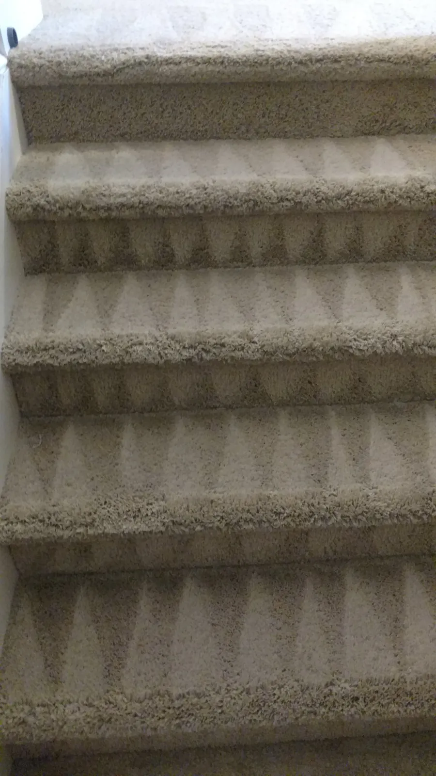 Carpeted stairs after cleaning, each step groomed.